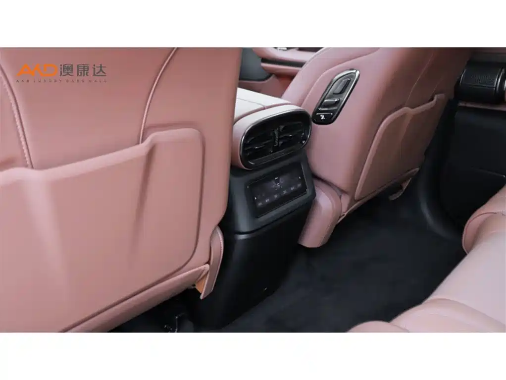 Yangwang U8 2024 2023 Luxury Edition
