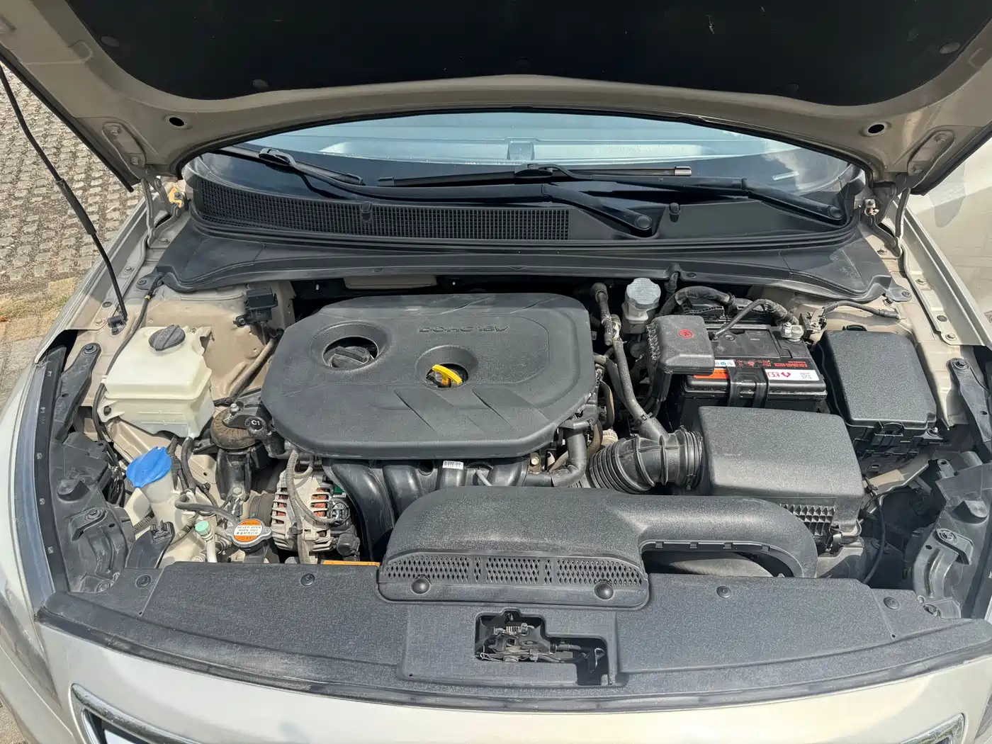 HYUNDAI NAME PICTURE