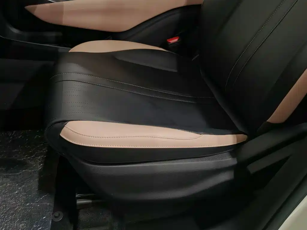 BYD Seagull 2026 2025 Smart Drive Edition 305km Vitality Version
