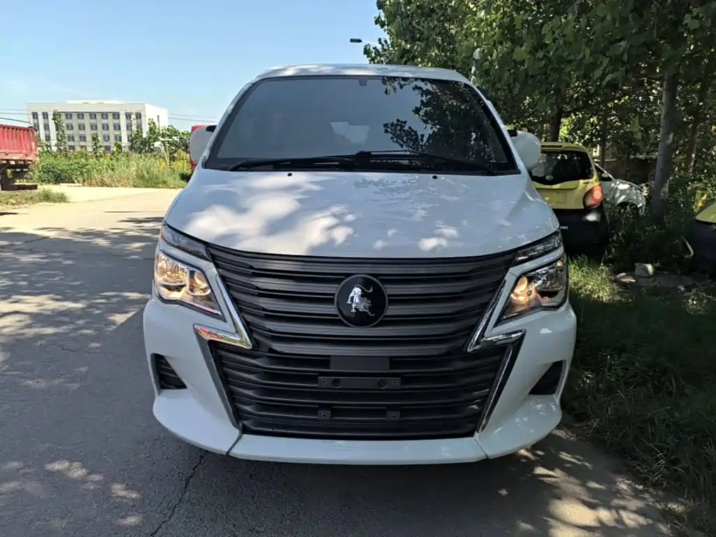 Фото 3 - Dongfeng Fengxing Lingzhi