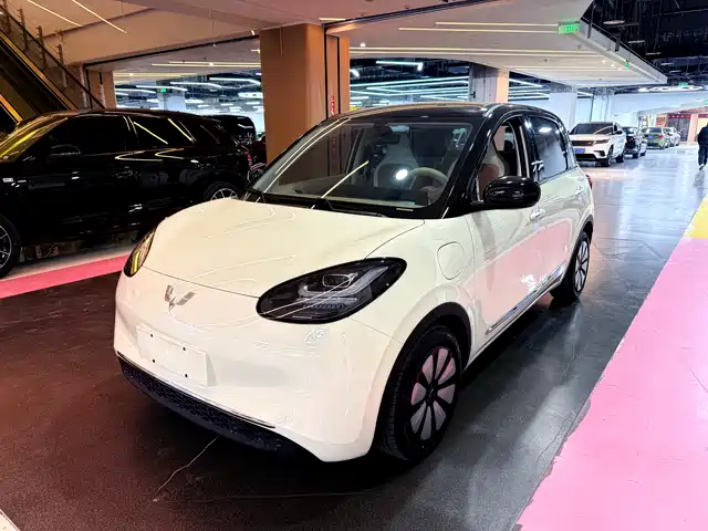 WULING WULING BINGGUO