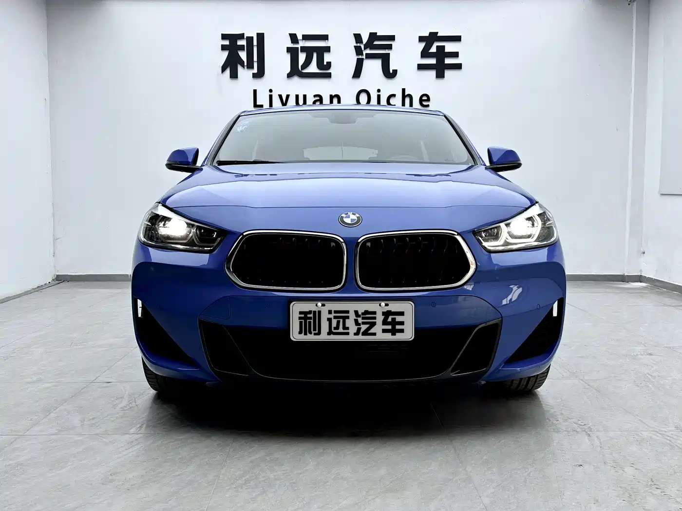 BMW X2 2020 sDrive25i Leading M Sport Package фото 4