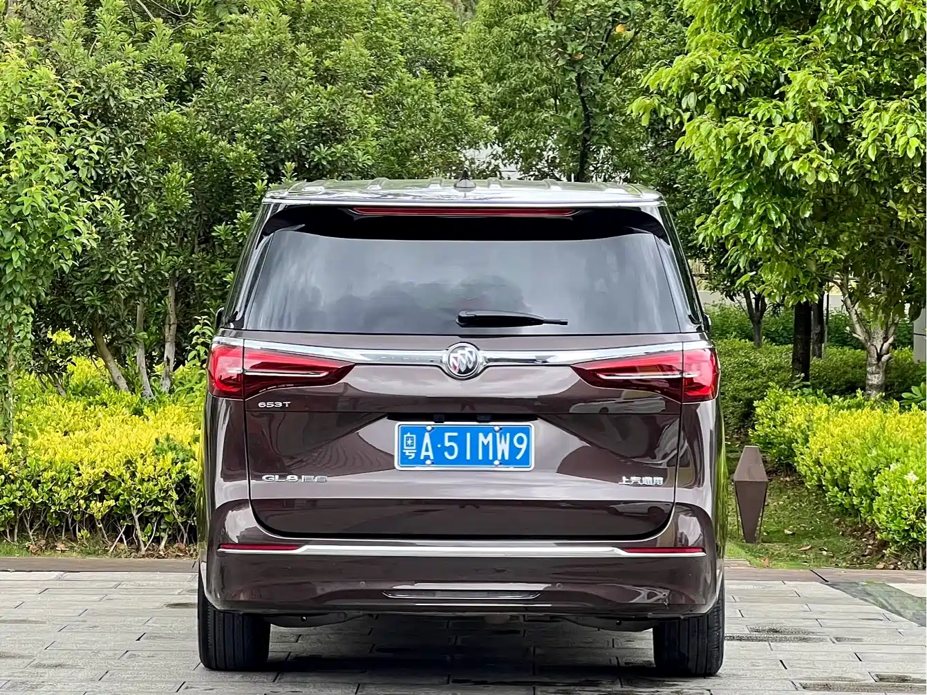 Buick GL8 2021 ES Landlord 653T Premium фото 6