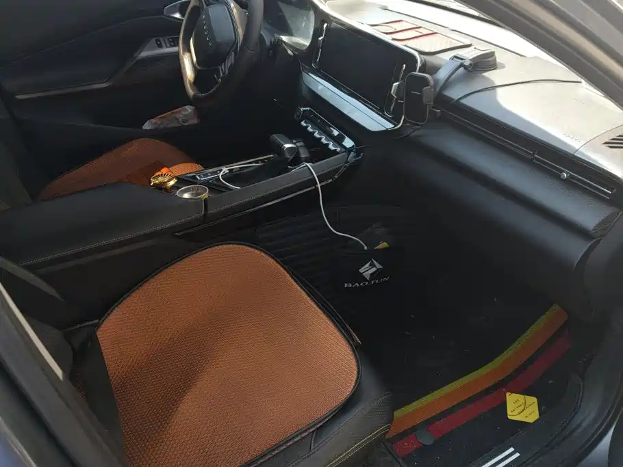 Baojun Valli 2022 2021 1.5T Yili Ranch CVT Luxury