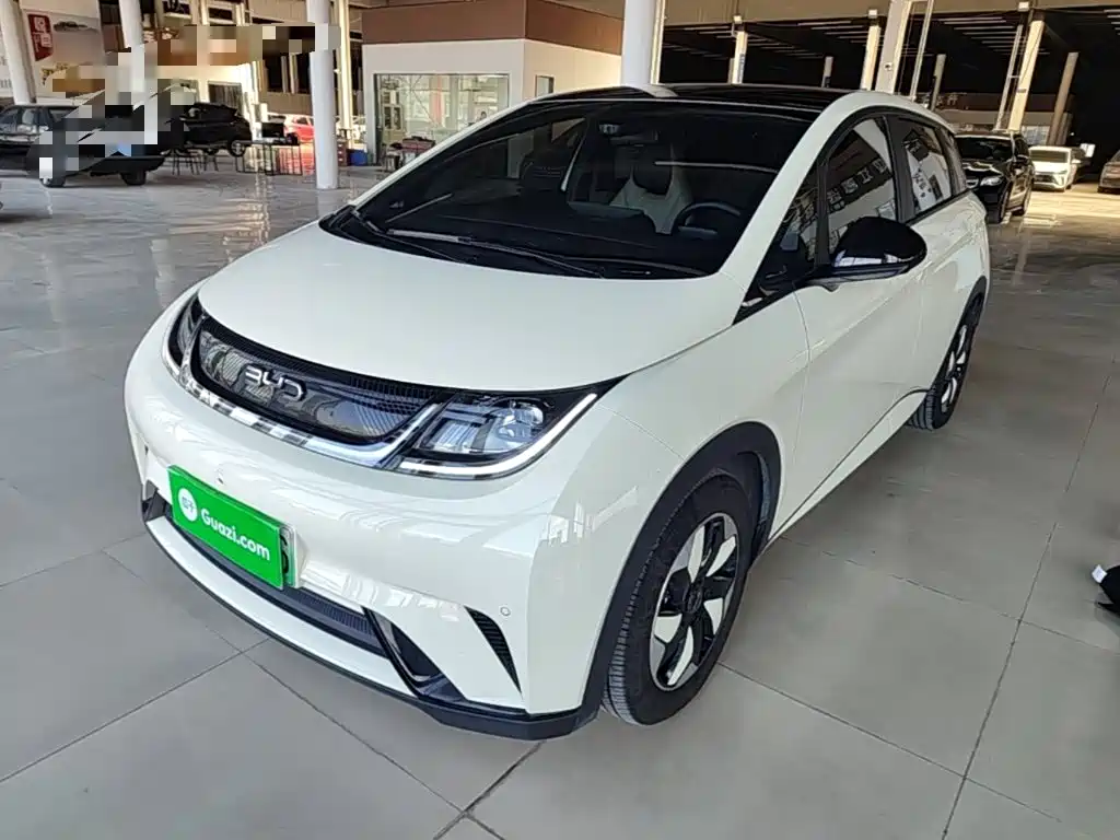 BYD Dolphin 2024