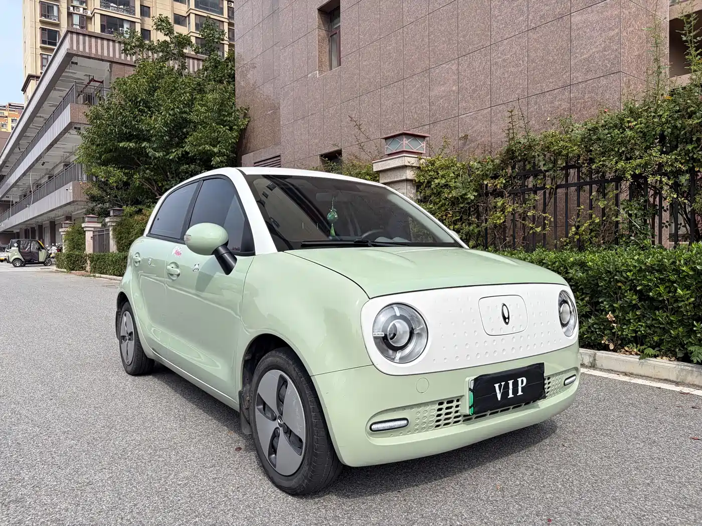 Ora Black Cat 2022 2022 301km Cute Pet Edition (LFP)