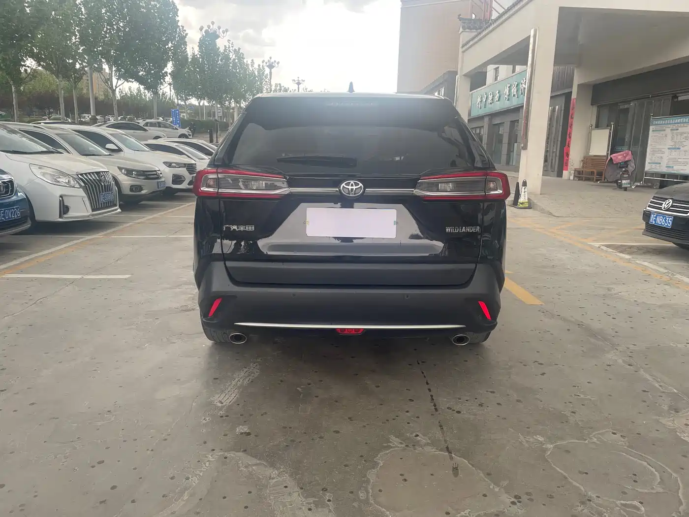 Toyota Wildlander 2022 2.0L CVT FWD Luxury Edition фото 8