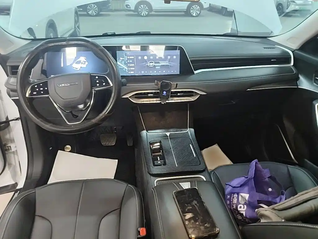 Venucia DaV DD-i 2023 2023 110km iE Edition