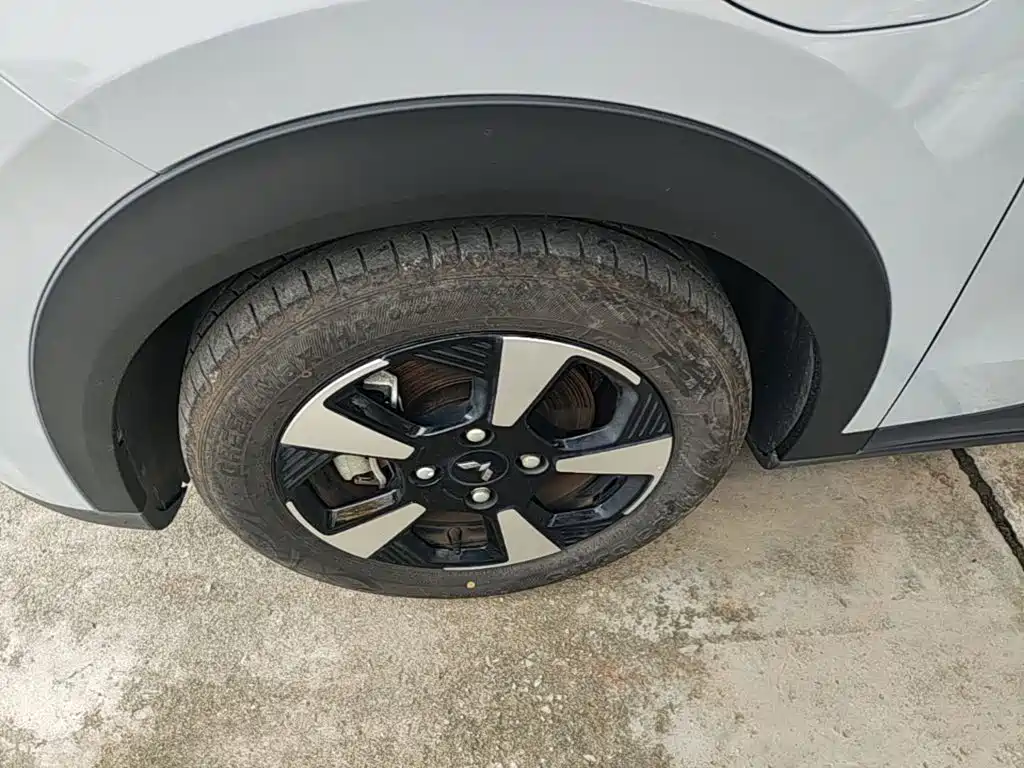 Wuling Motors Wuling Binguo PLUS 2024 2024 401km Range 5-seater