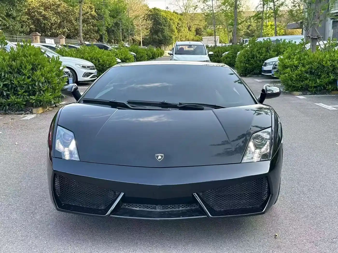 Lamborghini Gallardo 2011 LP 550-2 Tricolore