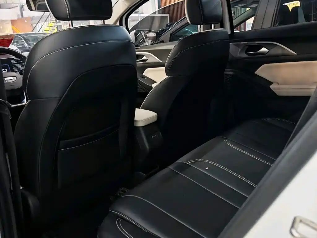 Geely Geometry E Firefly 2024 2024 401km Starlight