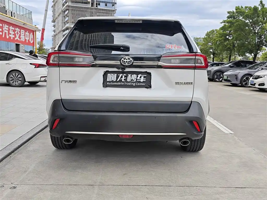 Фото 8 - Toyota Wildlander