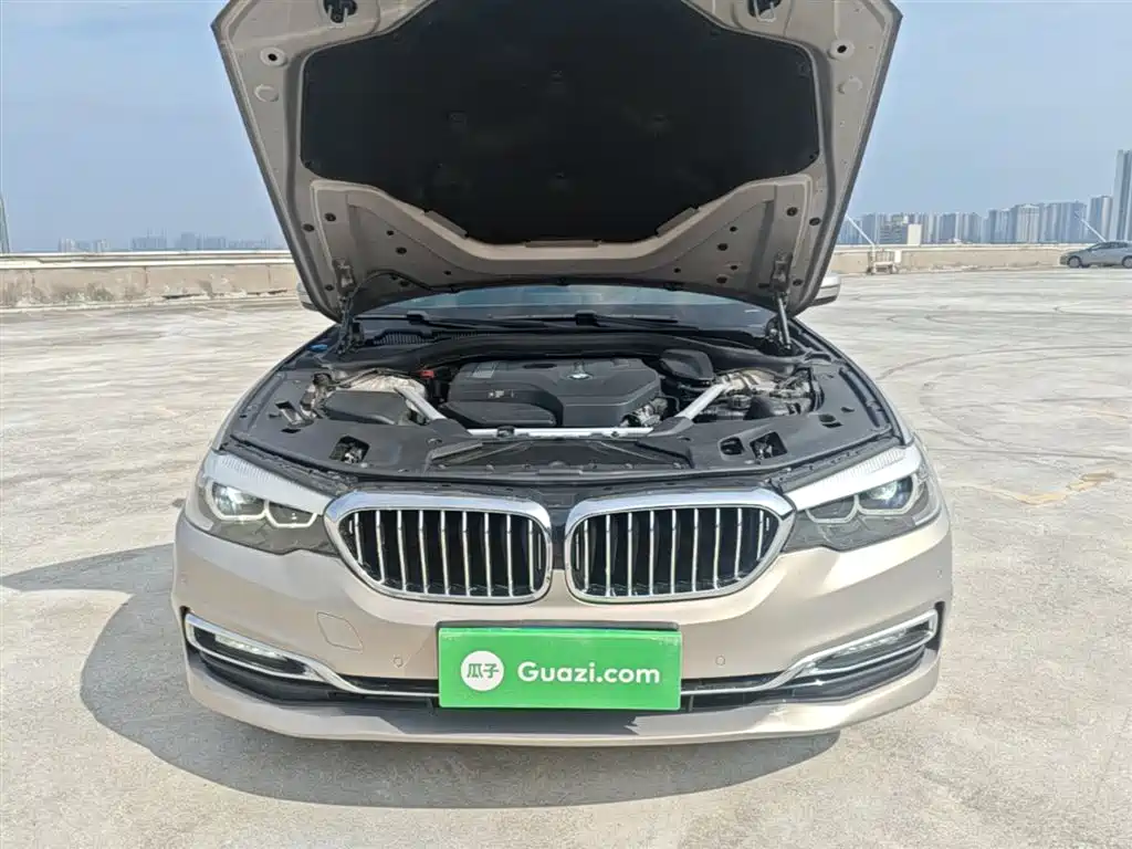 BMW 5 Series 2018 525Li Luxury Package фото 20