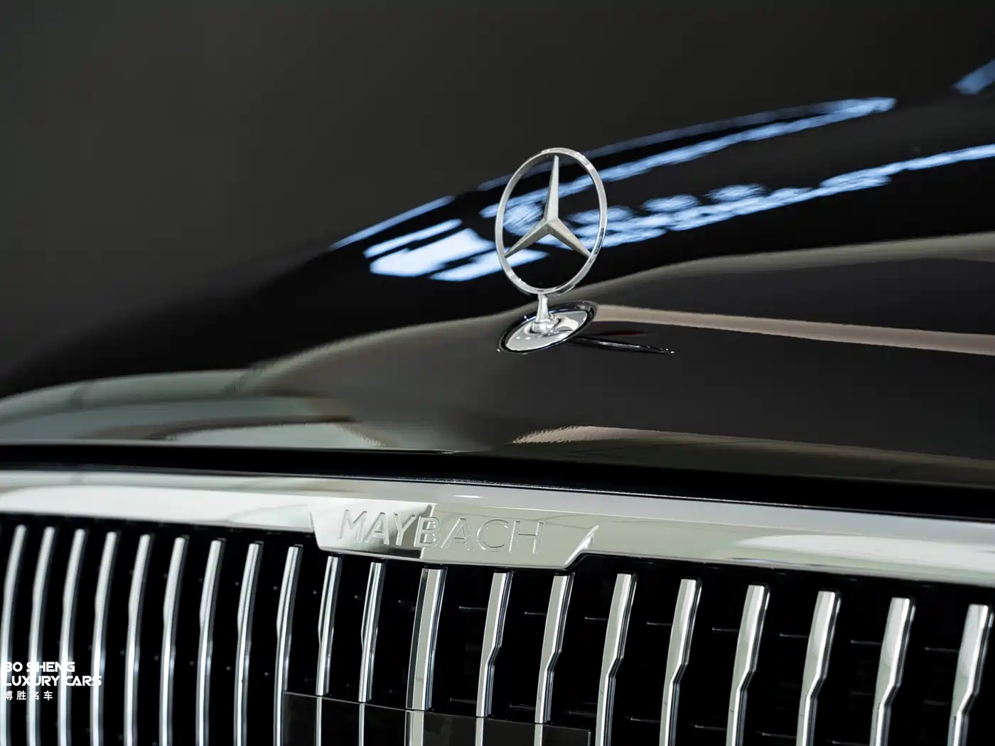 Mercedes-Benz Maybach GLS 2022 GLS 600 4MATIC Ceremony Edition фото 30