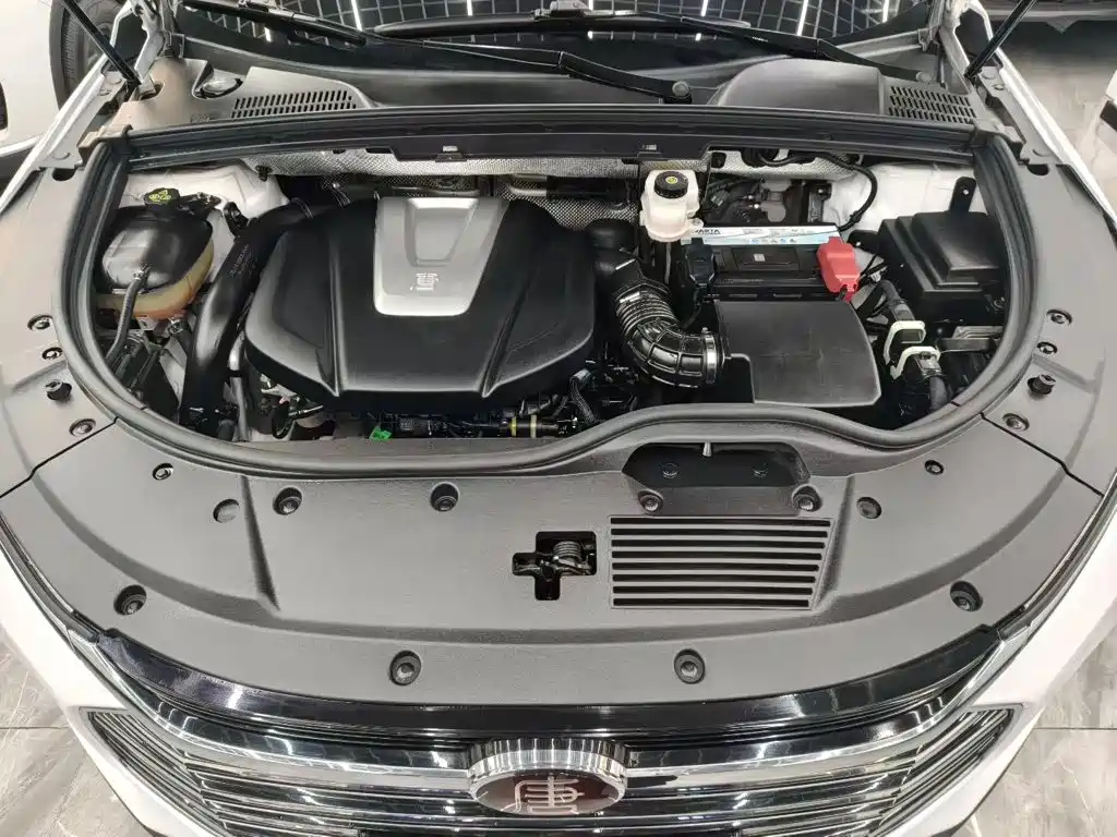 2021 BYD Tang