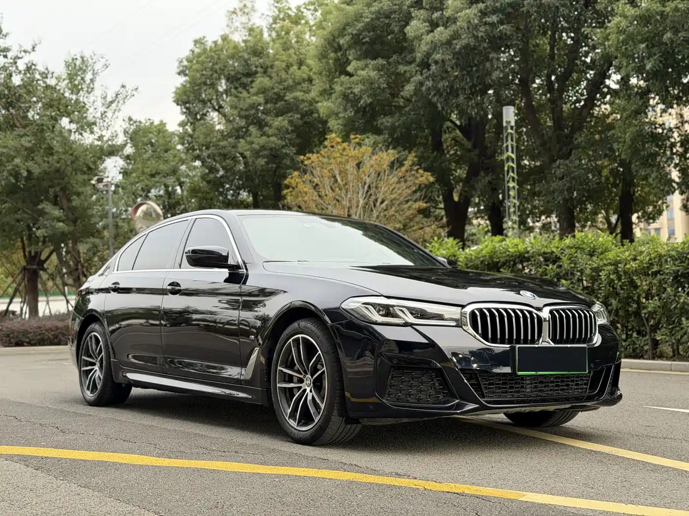 BMW 5 SERIES NEW ENERGY