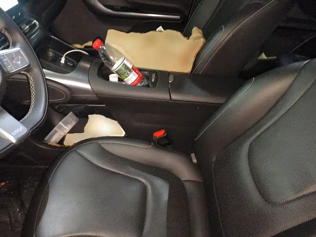 smart Elf #1 2023 2024 Premium Edition