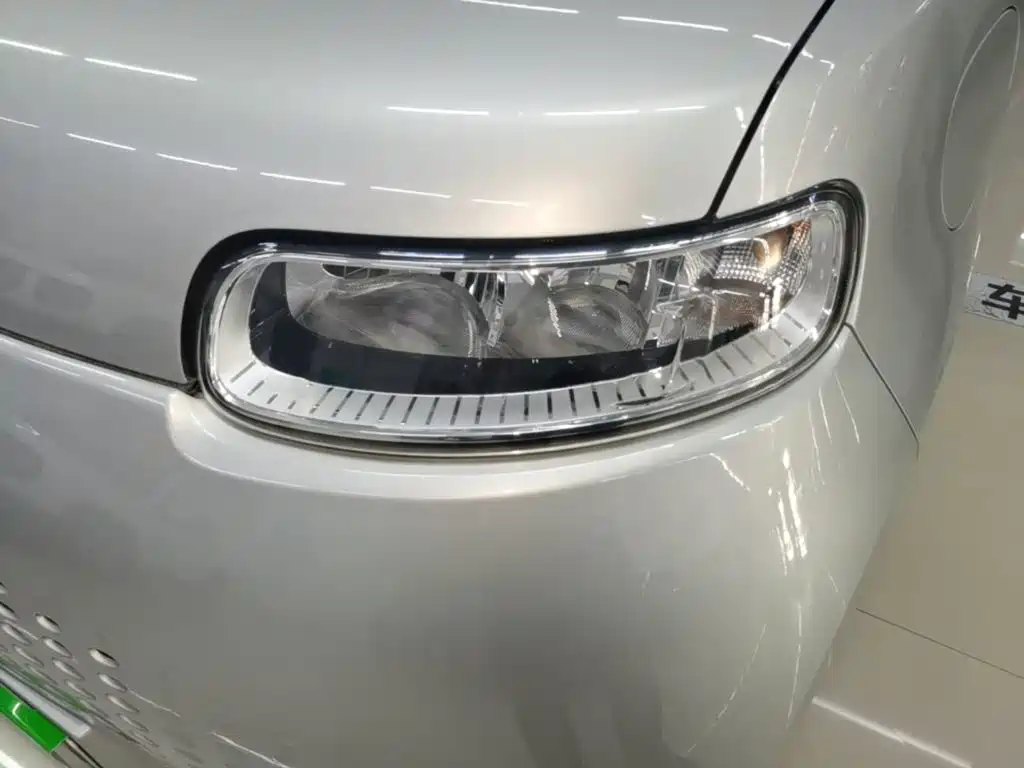 Ora White Cat 2021 2020 401km Flagship Model