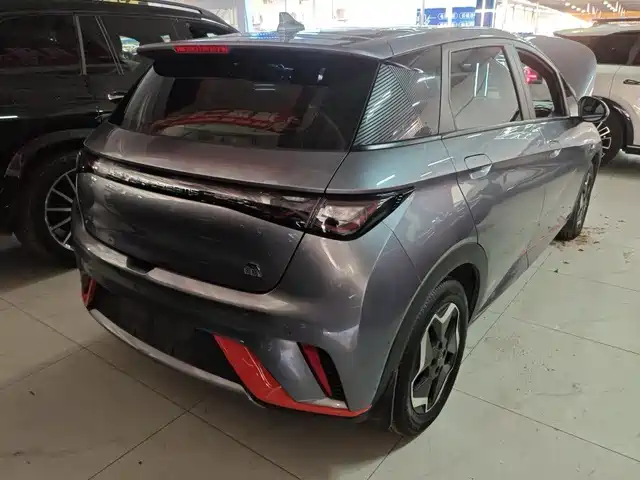 BYD Dolphin 2021 Model 405km Fashion Edition — фото 3