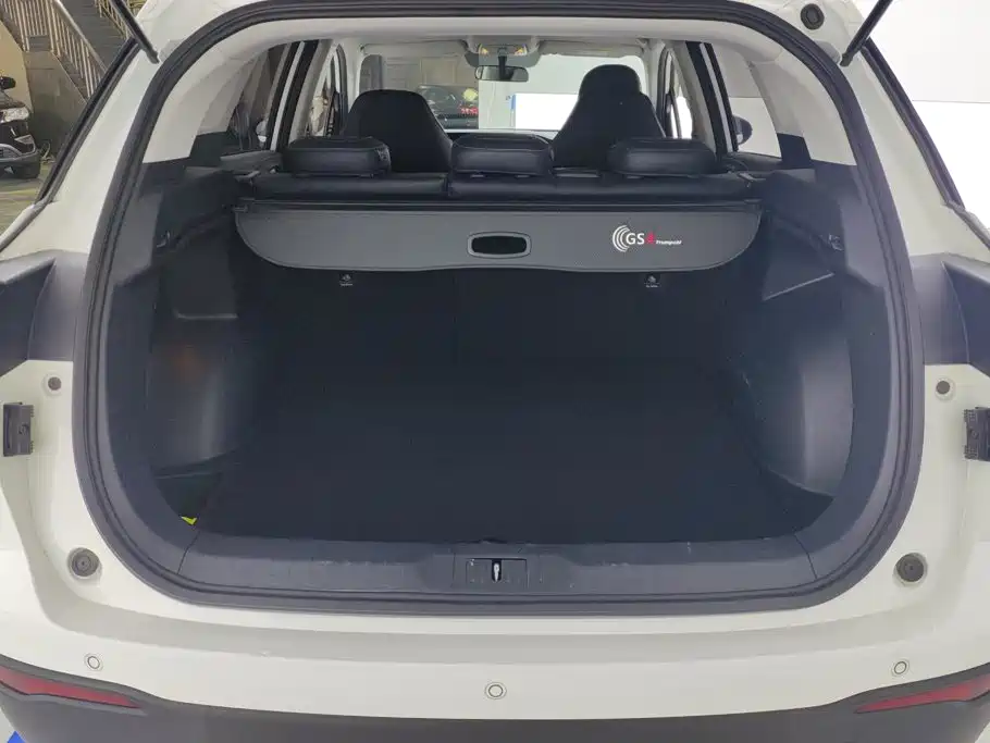 صورة 4 - GAC Trumpchi GS4