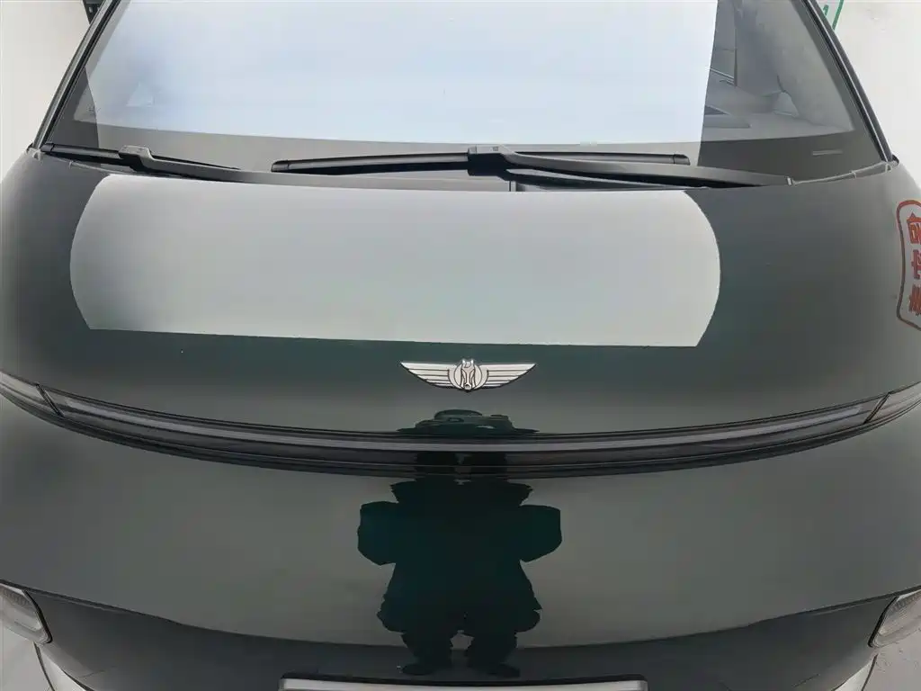 GEELY GALAXY WING TRUE L380
