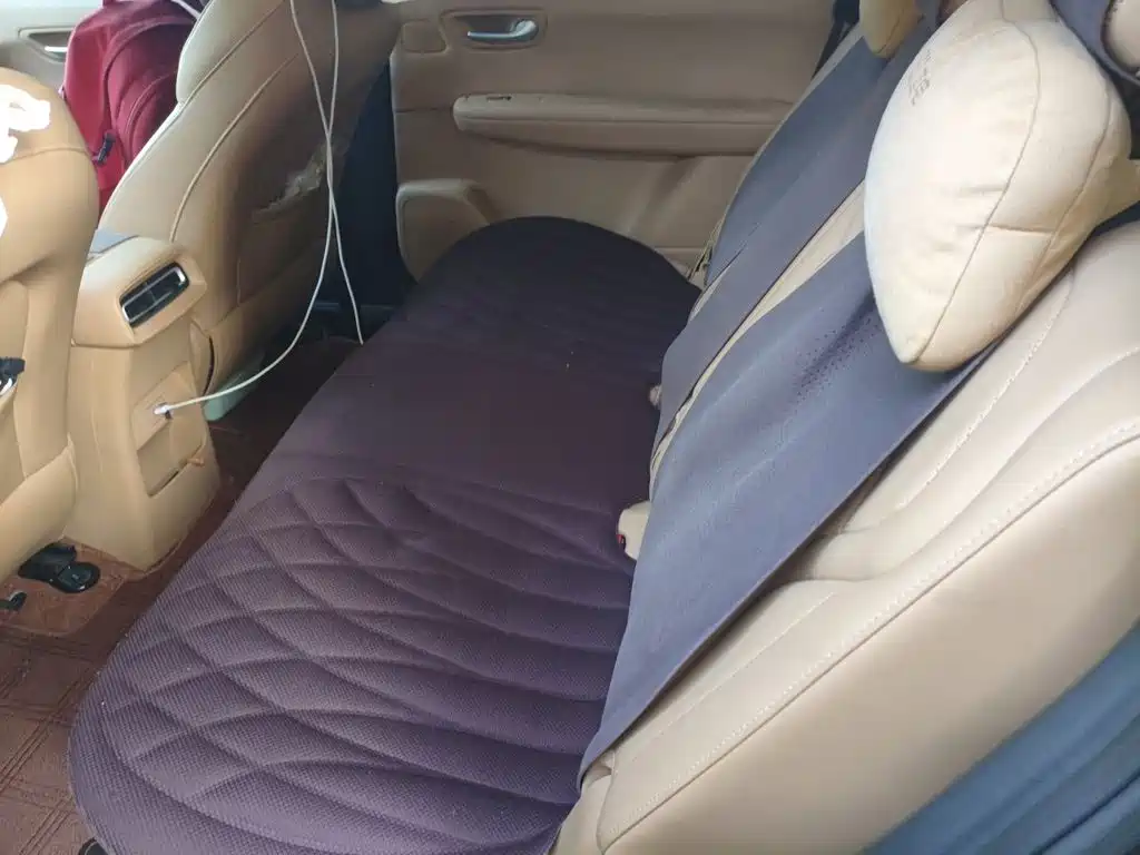 Landian E5 PLUS 2025 2025 Model 165km Long Range PLUS 7-seater