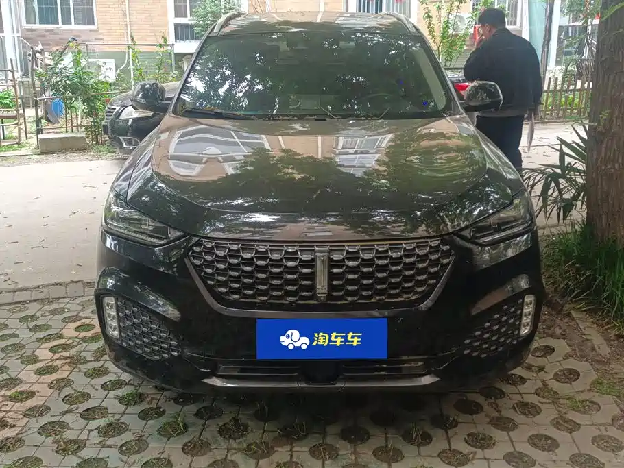 WEI PAI WEI BRAND VV6