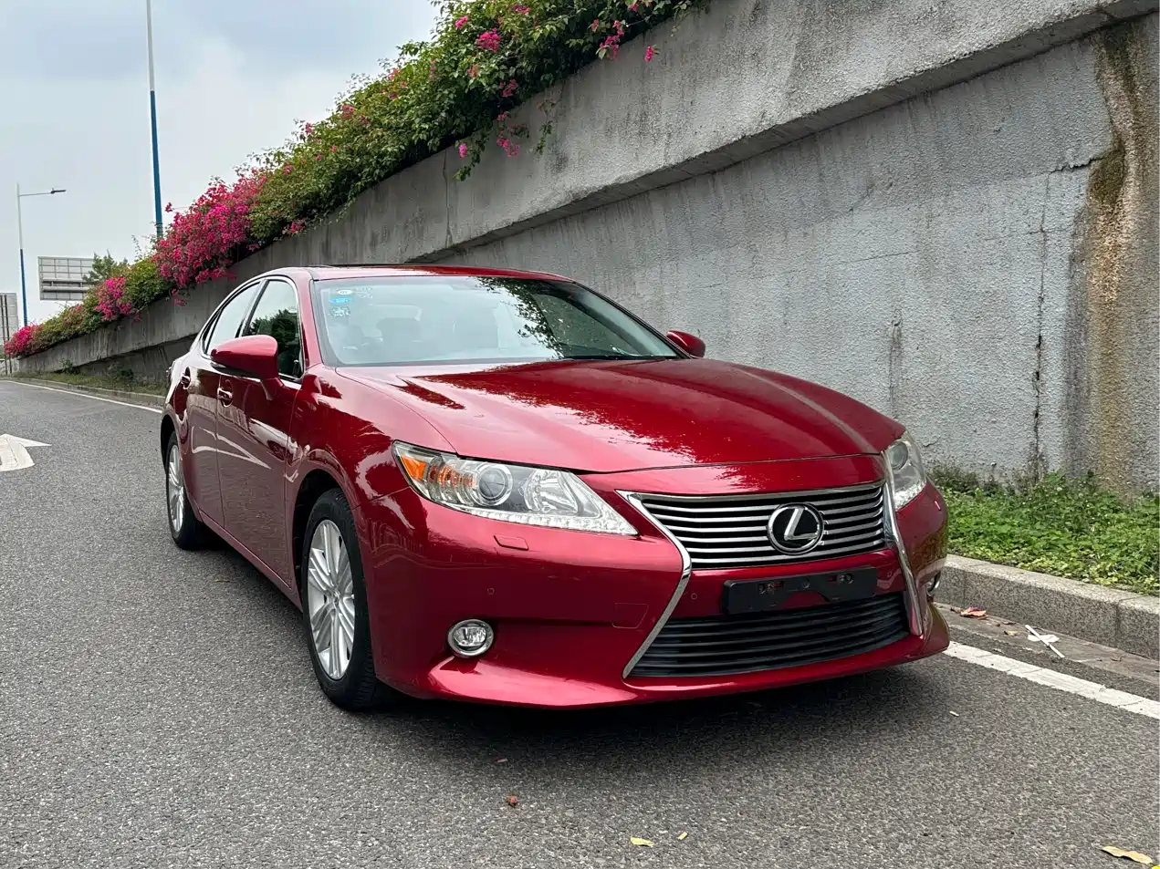 Lexus ES 2014 250 Elegance Edition фото 3