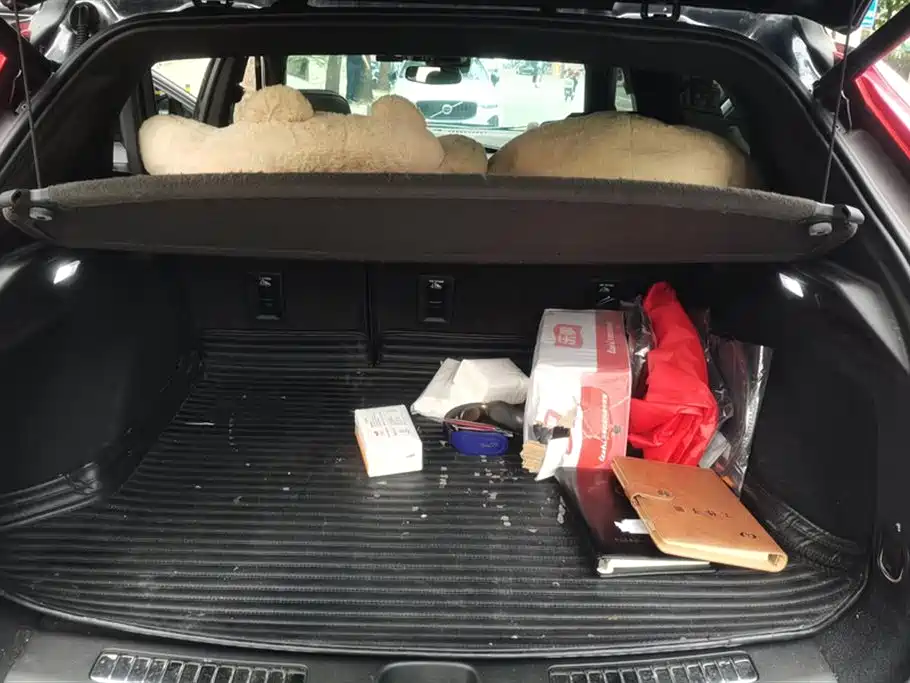 Cadillac XT4 2020 Facelift 28T 4WD Leading фото 4