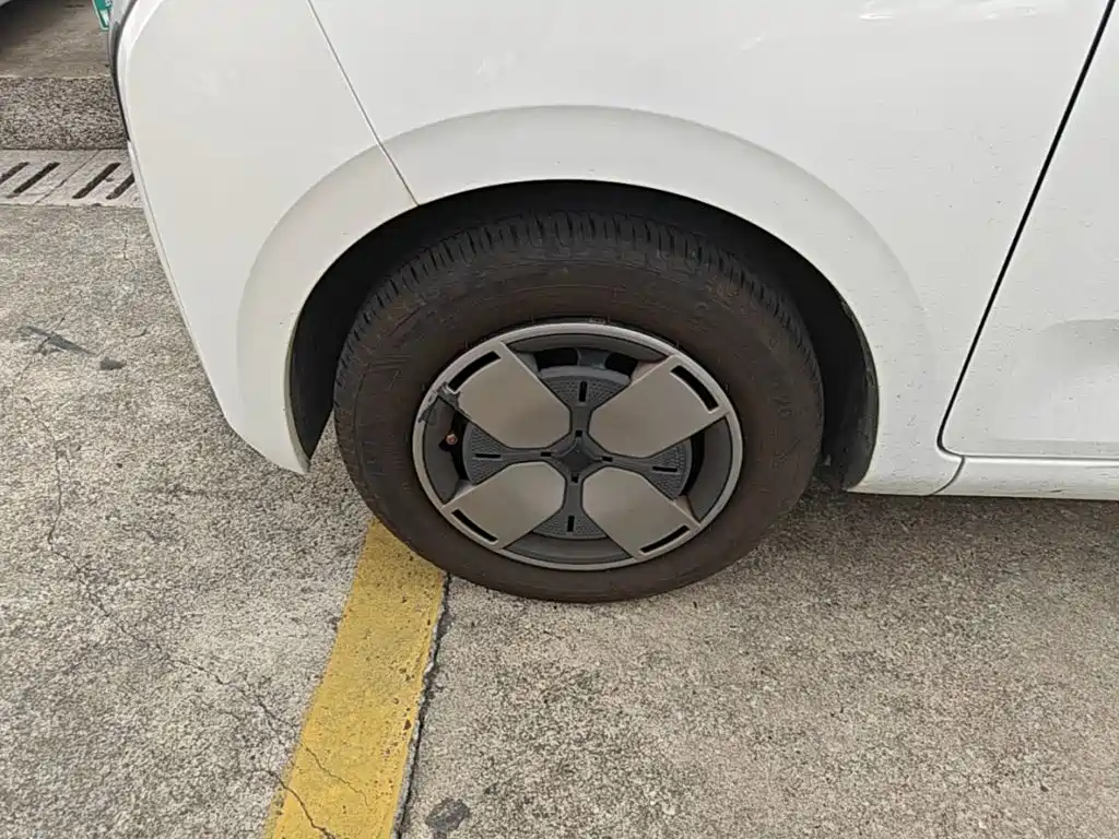 Wuling Motors Wuling Air ev 2024 2023 Model 2-Seater Standard Edition