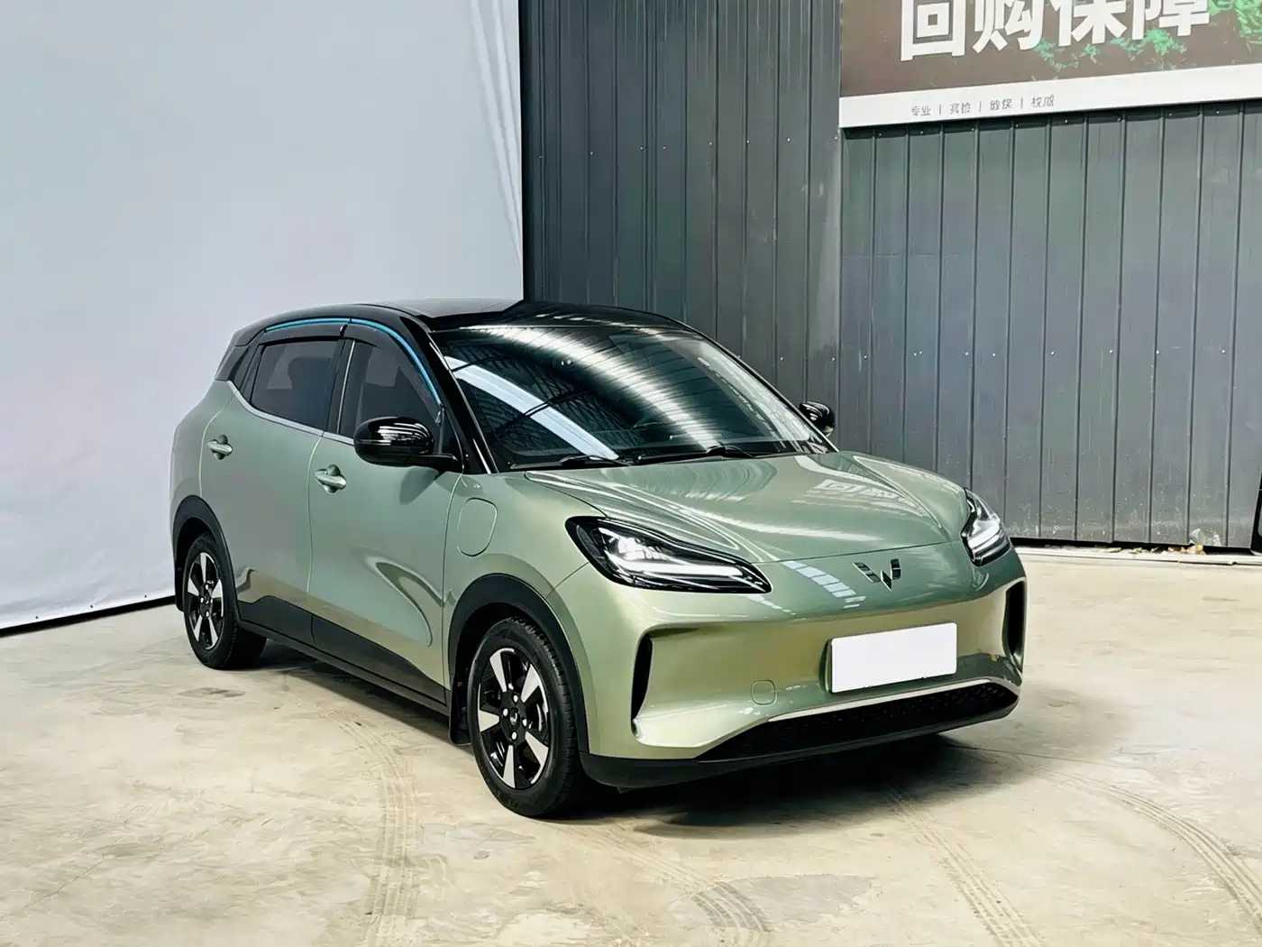 Wuling Motors Wuling Binguo PLUS 2024 2024 Model 510km Flagship Edition 4-Seater