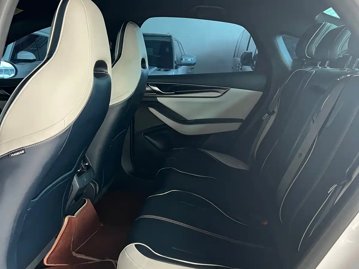 BYD Qin PLUS 2021 DM-i 55KM Flagship фото 8