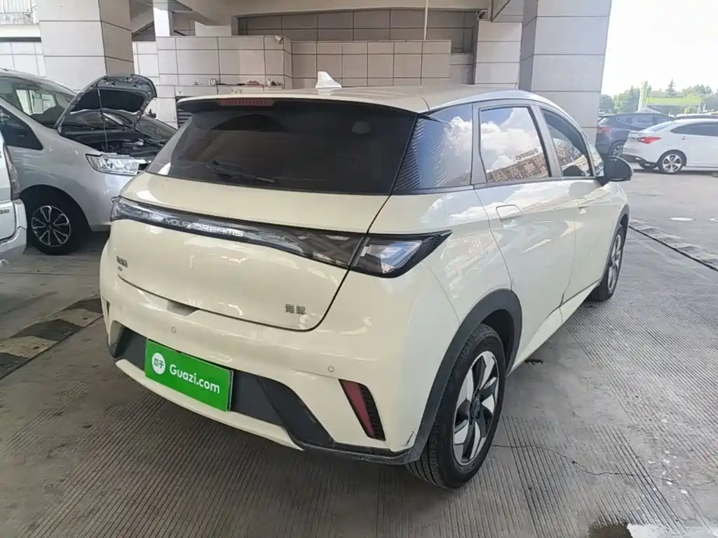 BYD Dolphin 2026 2025 420km Freedom Edition