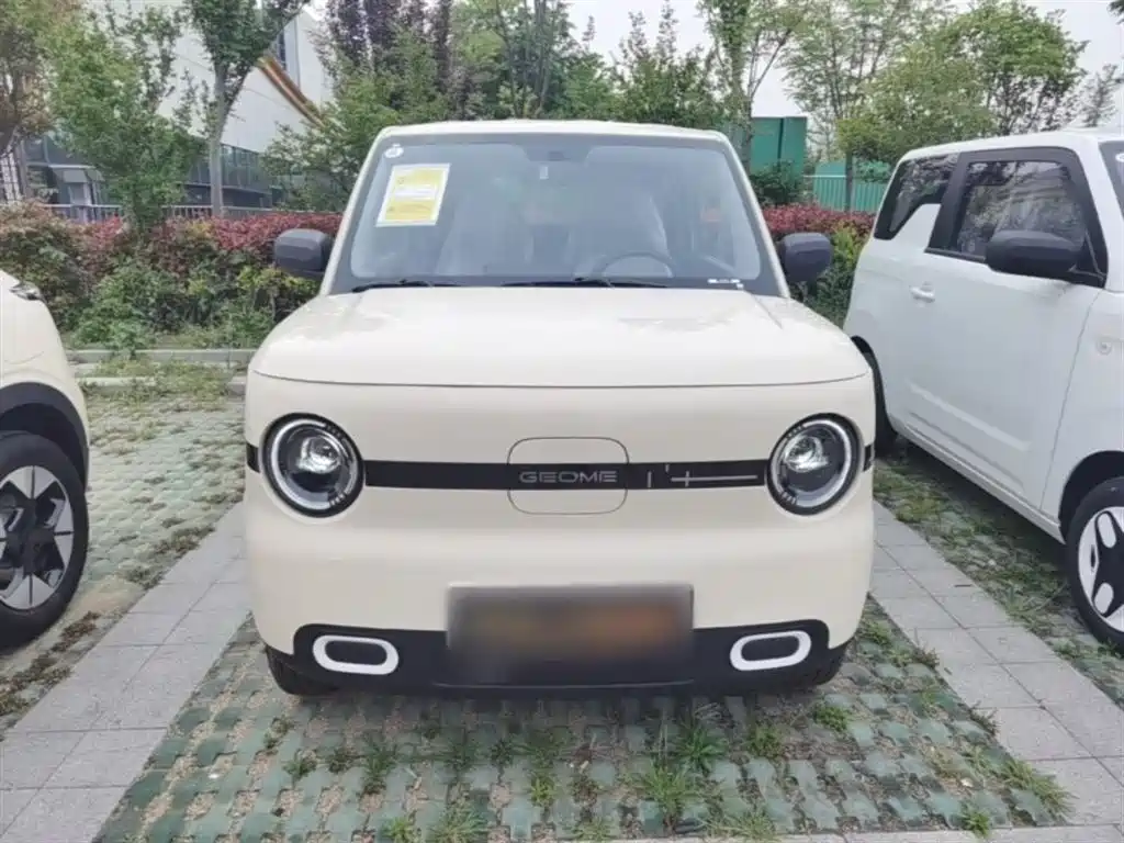 Geely Galaxy Panda 2025 Panda mini 210km Vitality Bear фото 3