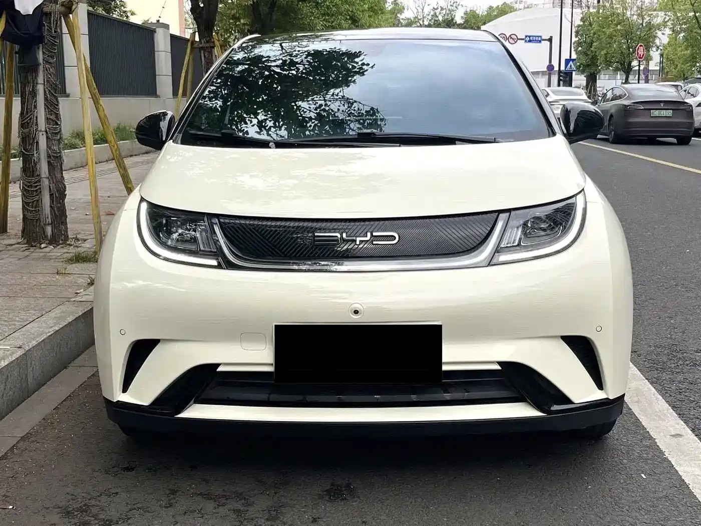 BYD Dolphin 2023 420km Freedom Edition фото 2