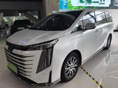 Trumpchi E9