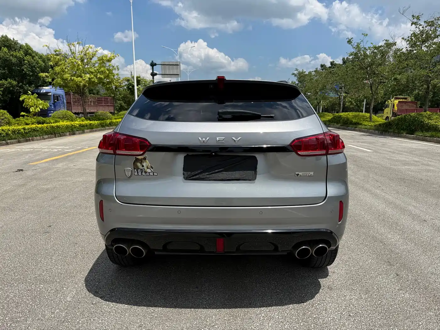WEY VV5 2018 2017 2.0T Super Luxury Model