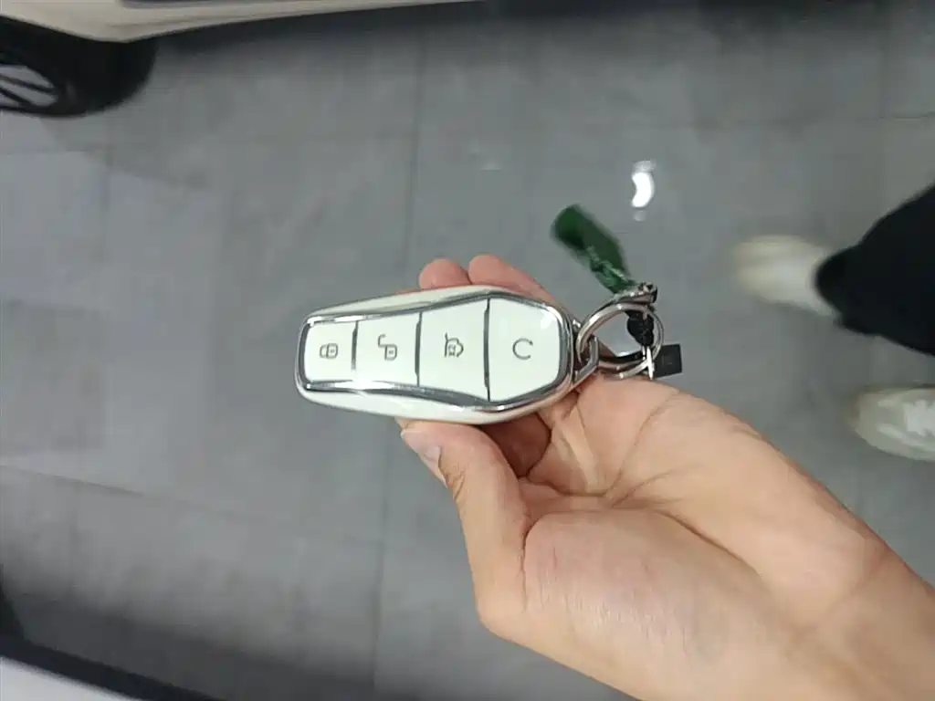 BYD Qin PLUS 2025 DM-i Smart Drive 55KM Leader фото 9