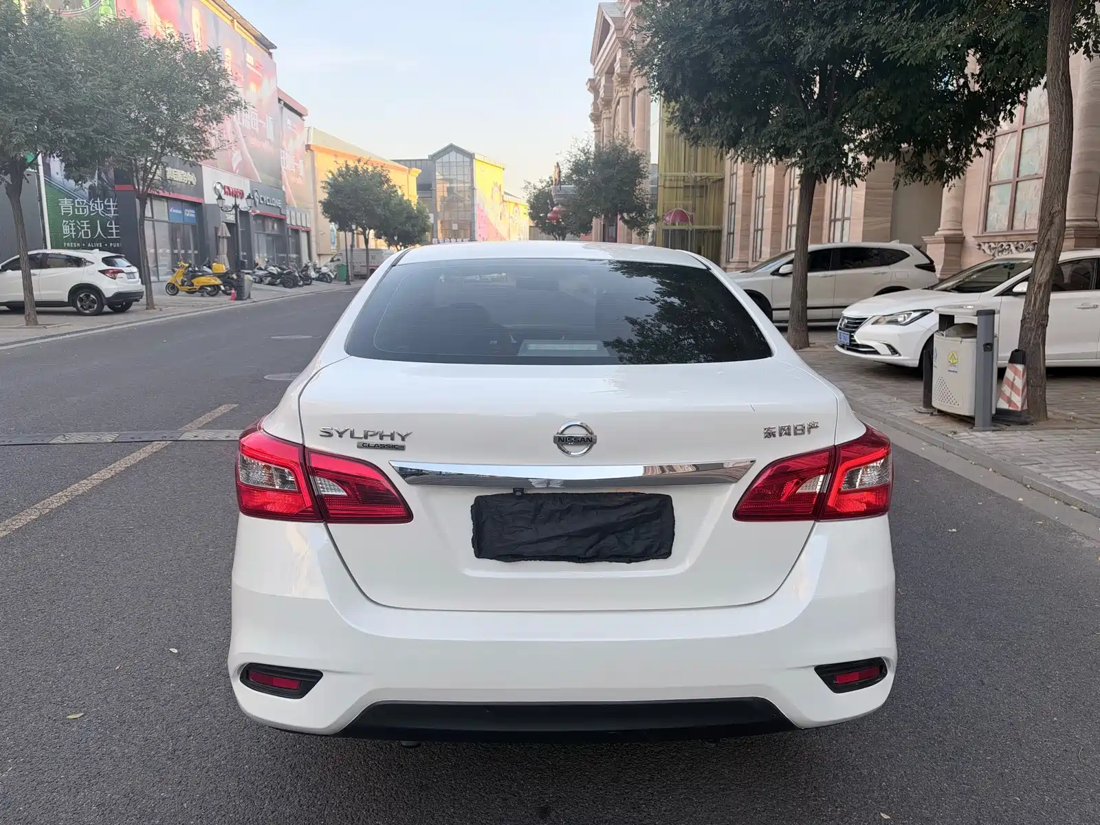 Photo 7 - Nissan Sylphy