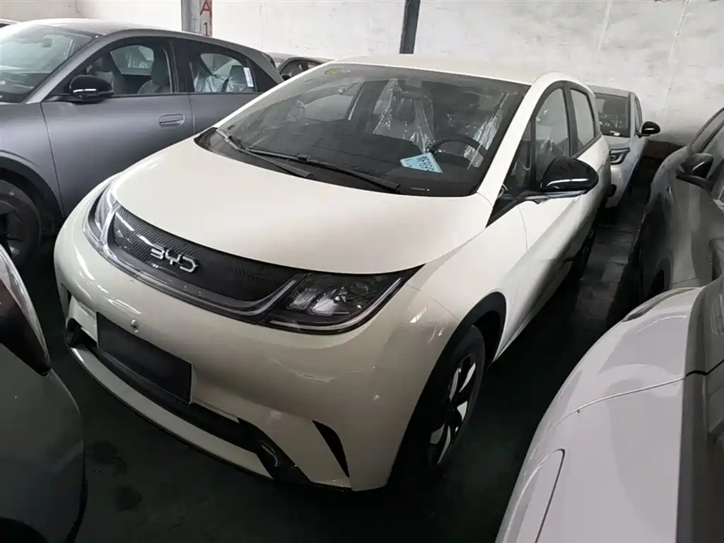 BYD Dolphin 2025 420km Freedom Edition фото 2