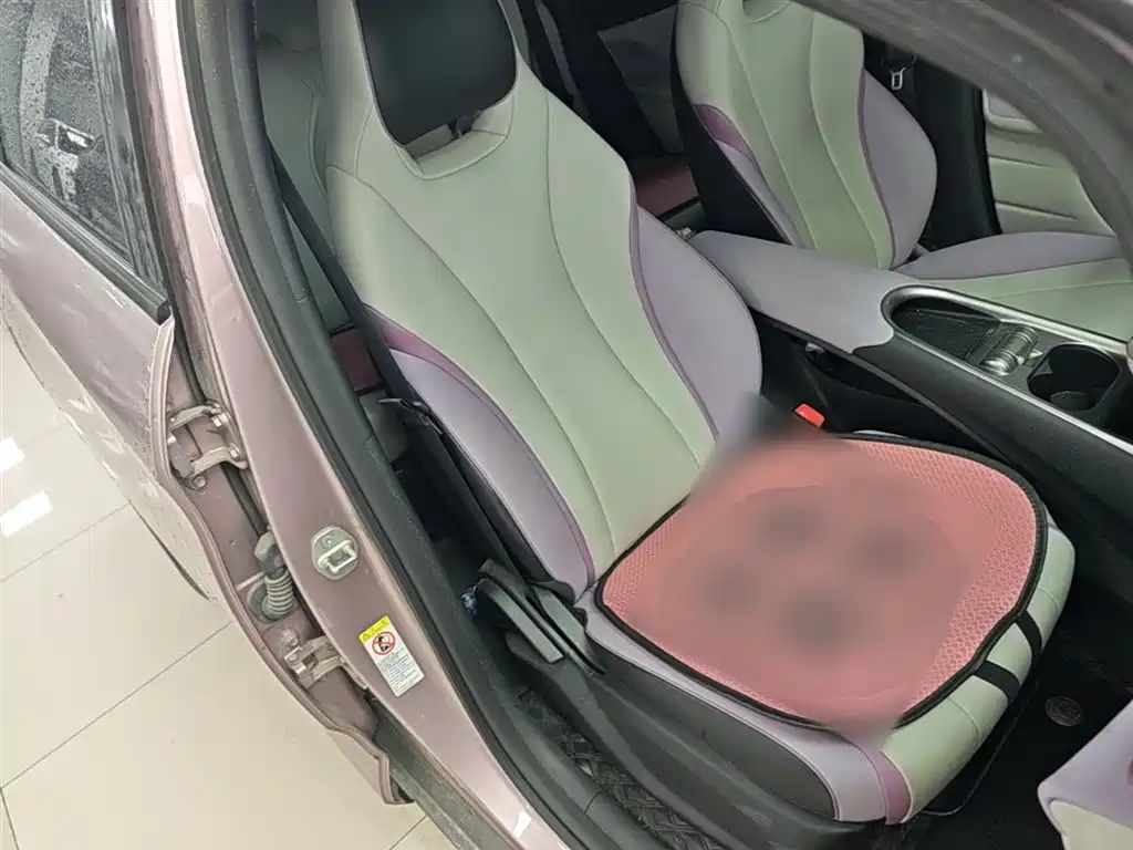BYD Dolphin 2021 Model 405km Fashion Edition фото 25
