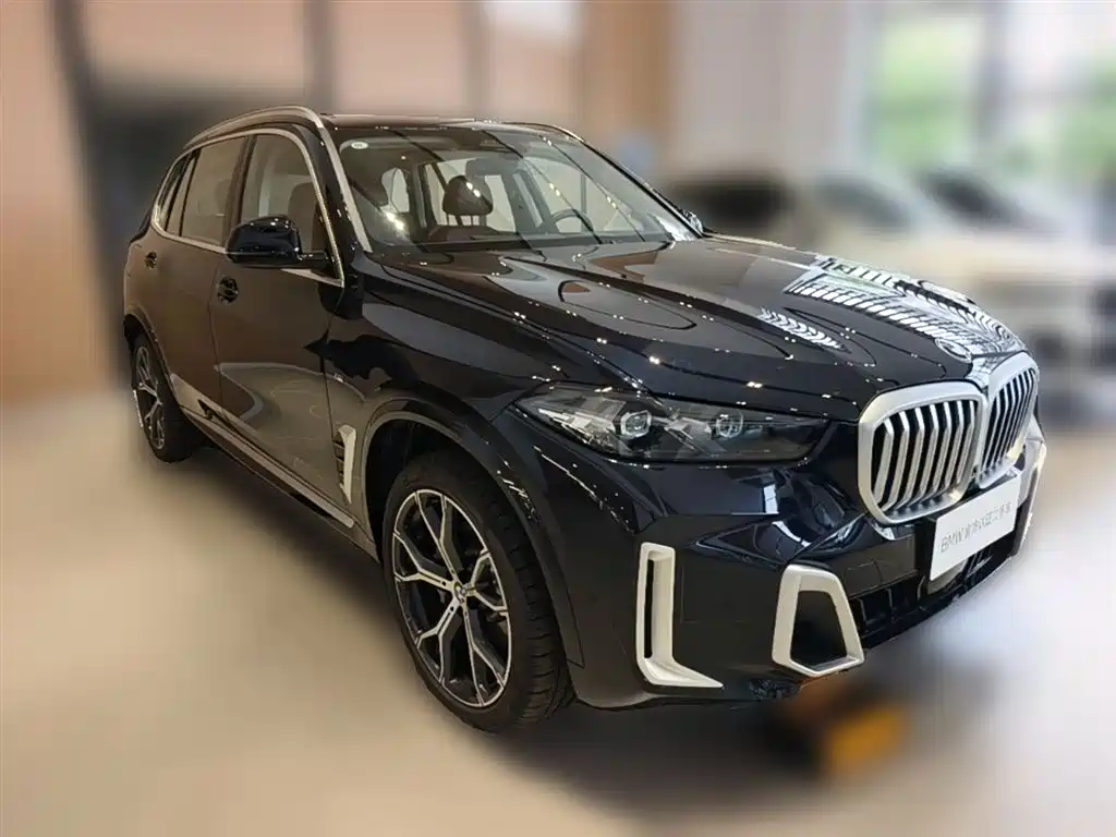 BMW X5 2025 Model xDrive 30Li Exclusive M Sport Blackout Package фото 7