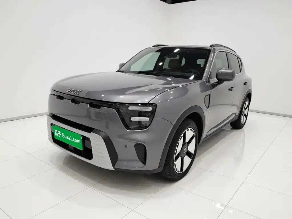 smart Genie #5 2026 2026 Model 252km Standard Edition
