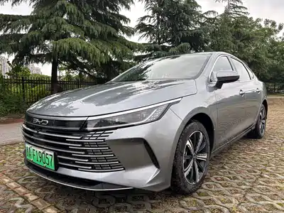 BYD Destroyer 05