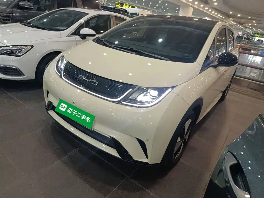 BYD Dolphin 2023 420km Fashion Edition фото 2