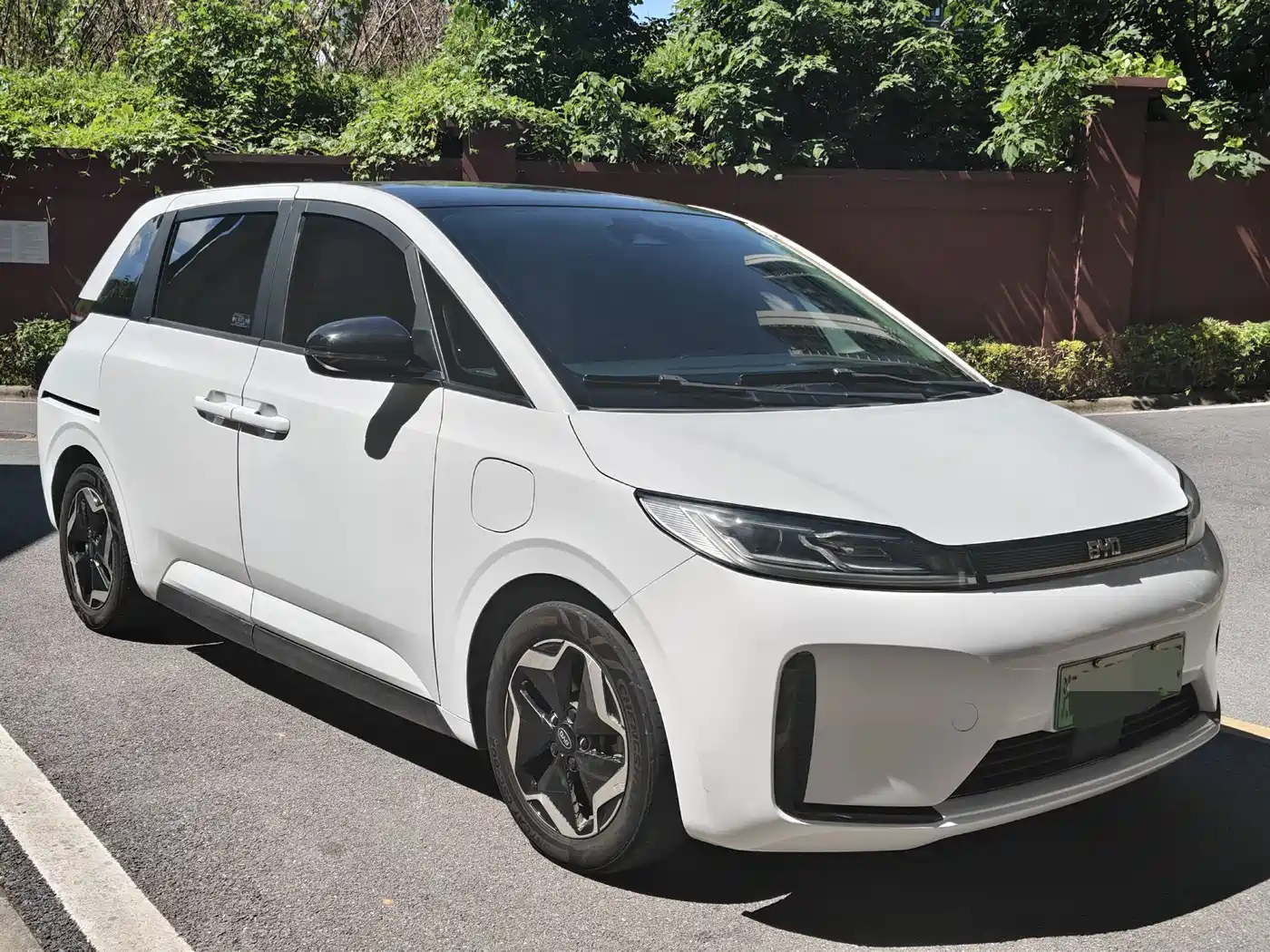 BYD D1 2020 2021 Pioneer Edition
