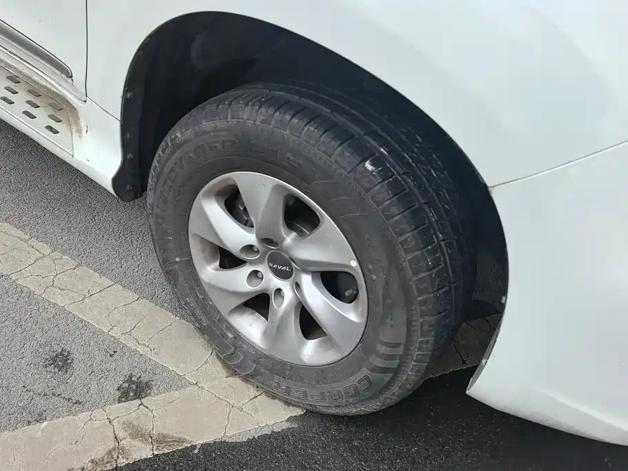 Фото 6 - Haval H9