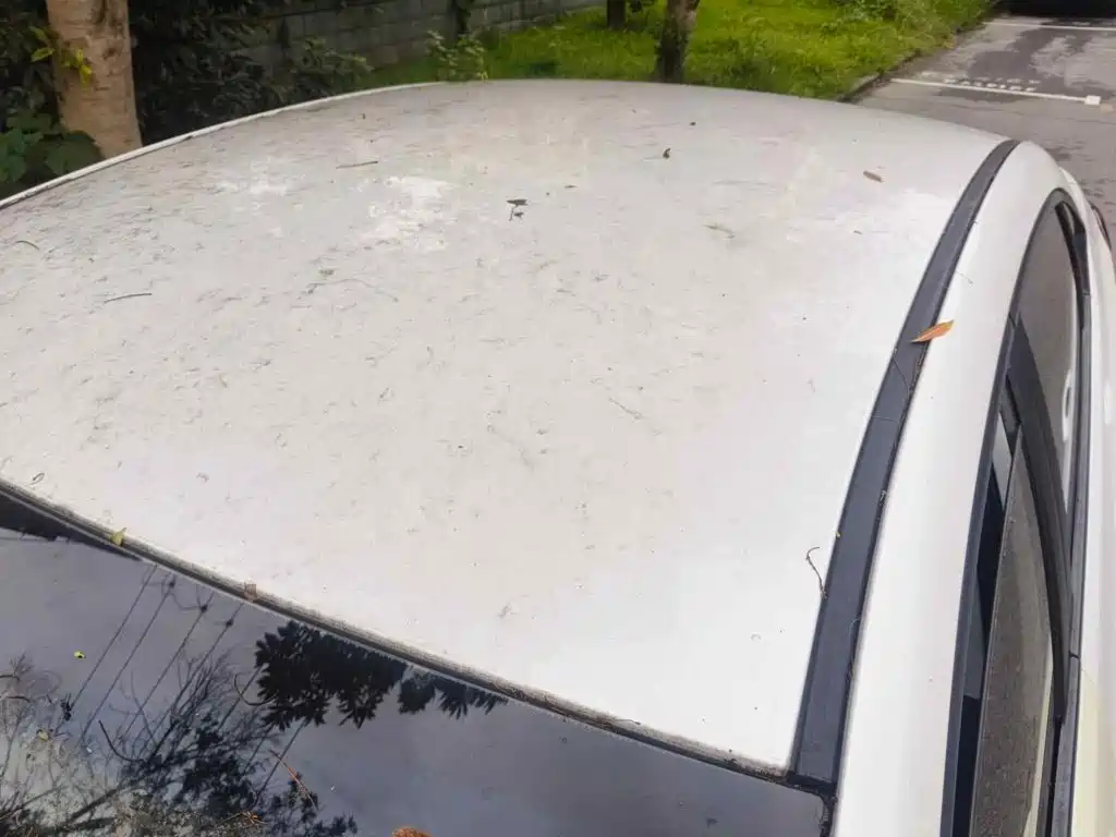 Фото 6 - Hyundai Mistra