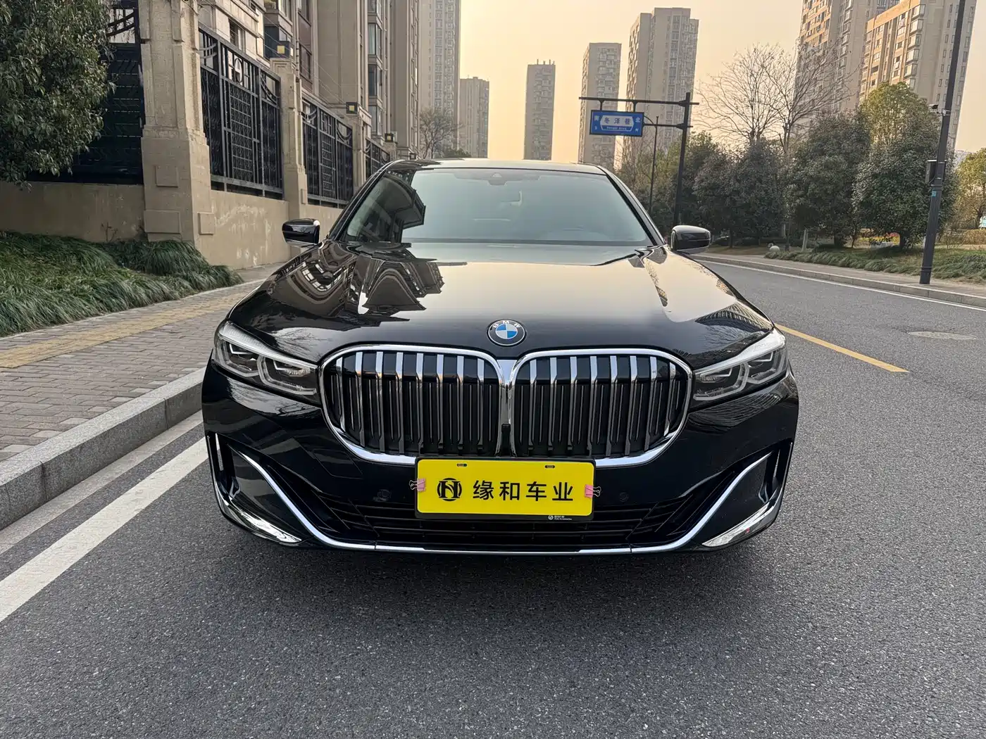 BMW 7 Series 2019 740Li Leading Luxury Package фото 2