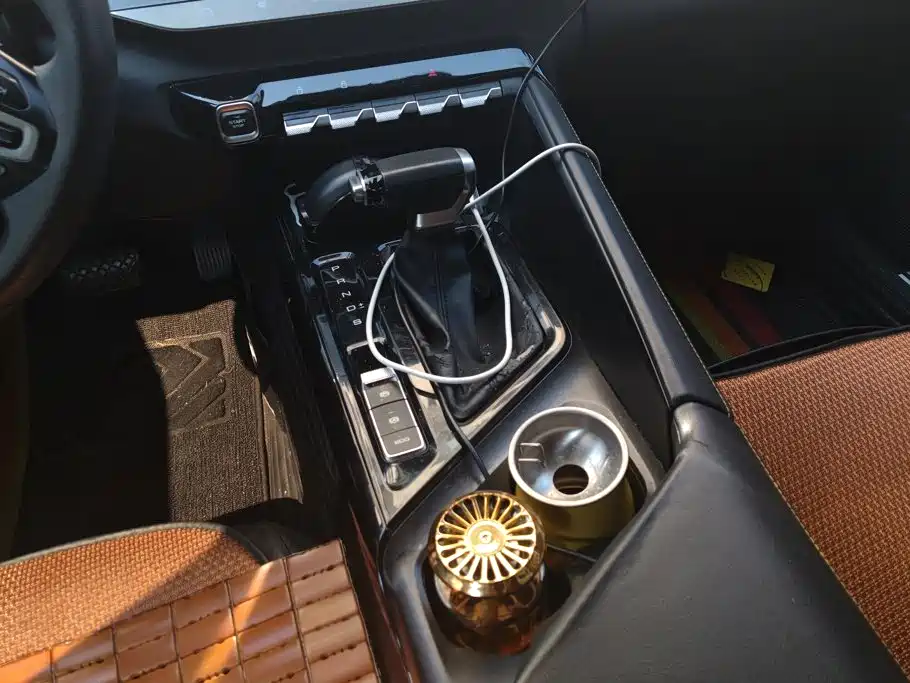 Baojun Valli 2022 2021 1.5T Yili Ranch CVT Luxury